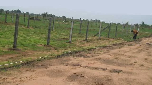 Vijaya Green City